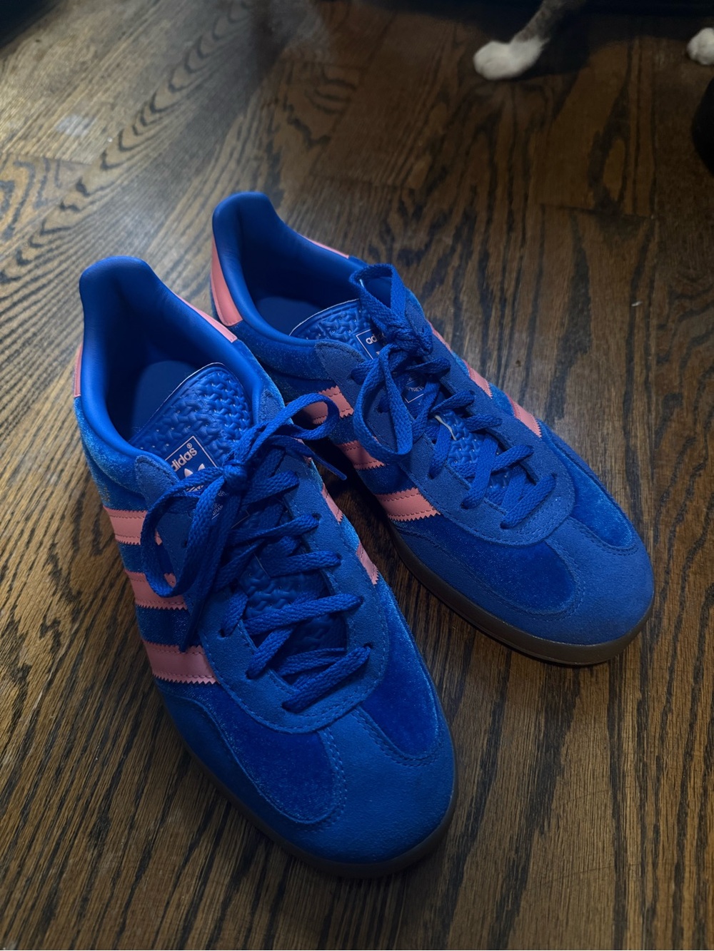 Women’s Adidas Gazelles (only worn twice) size 8